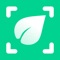 AI Plant : Your Ultimate Plant Care Companion​