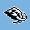 Utah Mammoth icon