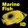 Marine Fish Maldives icon