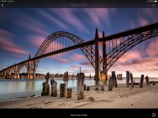 Ryan Painter iPad screenshot 4 - Photo & Video app