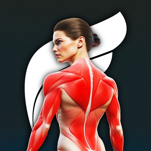 Fitonomy: Home & Gym Trainer