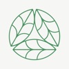 Lettuce Grow icon