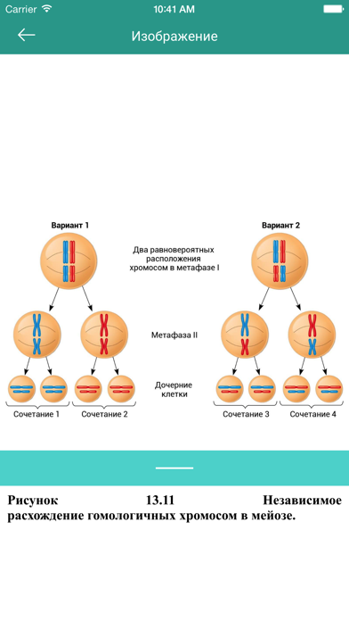 KPD-BIO Screenshot