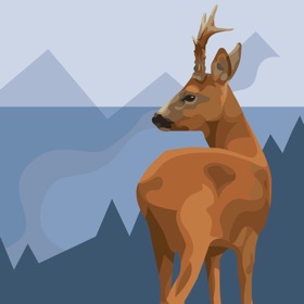 螢幕擷取畫面 (6) Jagd-Lern App