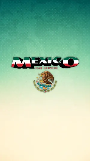 Mexico Car Service screenshot 1
