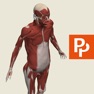 Get Primal's 3D Whole body for iOS, iPhone, iPad Aso Report