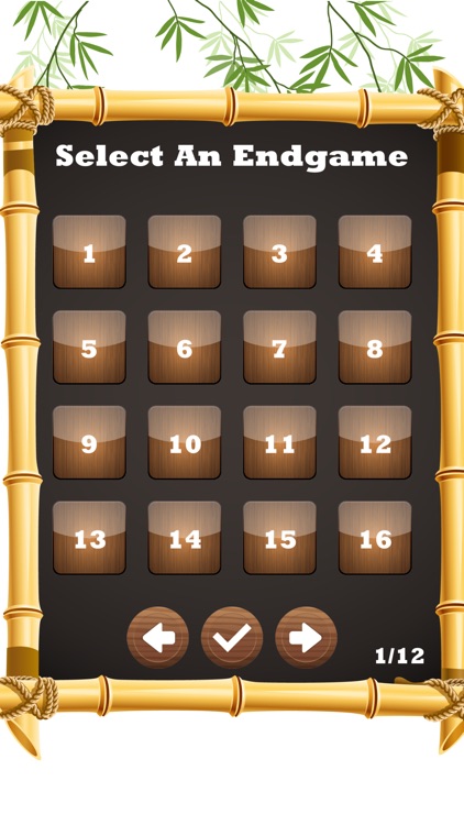 Chinese Chess - Xiangqi Master screenshot-5