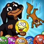 Crusoe Squeaky Ball Bubble POP App Contact