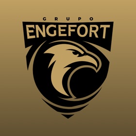 Screenshots (4) Engefort Alarme e Câmera