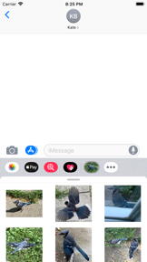 Blue Jay Stickers screenshot