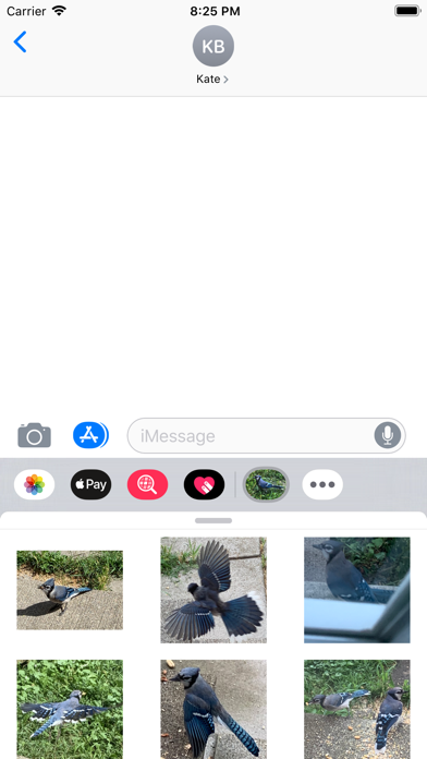 Screenshot #1 pour Blue Jay Stickers
