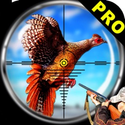 Faisan Chasse aux oiseaux Pro