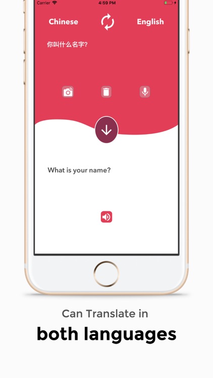 Translator English Chinese