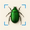 Bug Scanner: Spider Identifier icon
