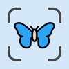 Bug Identifier: Butterfly ID icon