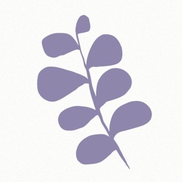 Bloom Studio