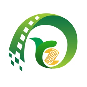 云上正阳
