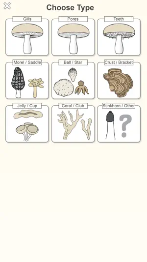 Shroomify - Mushroom ID USA screenshot 3