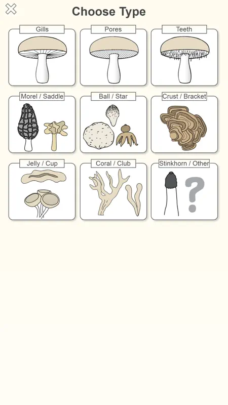 Shroomify - Mushroom ID USA screenshot 3 of 7