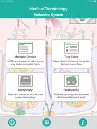 Endocrine System Medical Terms ipad bilder 0