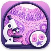 Histology Cell Tissue