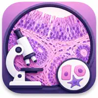 Histology Cell Tissue