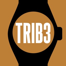 TRIB3 Studio Companion