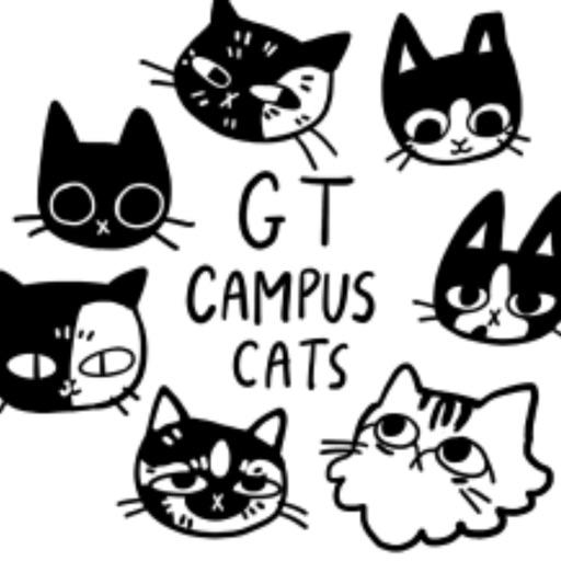 Campus Cats