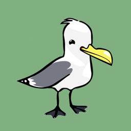 Rissa Citizen Science