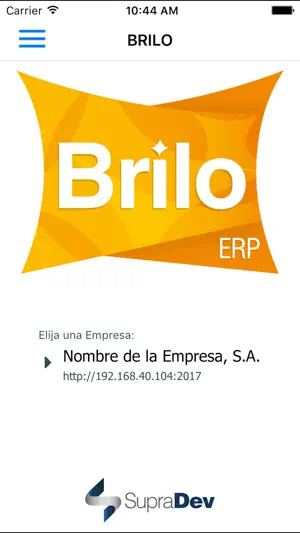 BRILO ERP screenshot 1