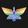 Lucknow Super Giants icon