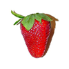 Food Inventory - Thoughtbug Software