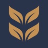 Vie de Vine icon