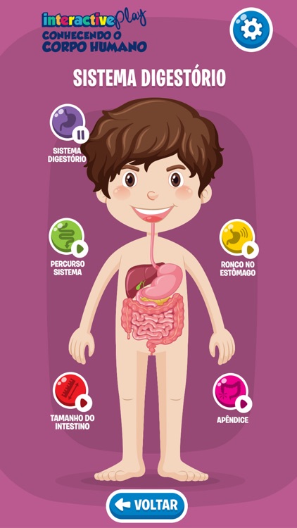 Conhecendo o Corpo Humano