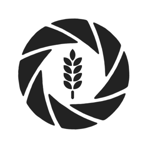 breadlens.
