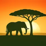 SavannaQuest: Safari Maps - App Icon