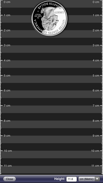 Screenshot #3 pour Ruler App