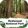 Redwood = National Park icon