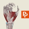 Get Primal's 3D Functional Anatomy for iOS, iPhone, iPad Aso Report