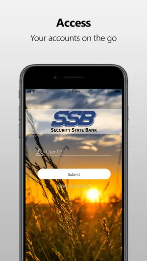 SSB Farwell screenshot 1