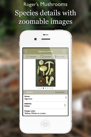 Roger's Mushrooms (Lite) screenshot 2