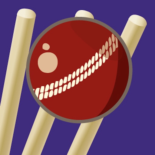 Cricket Pitch Map icon