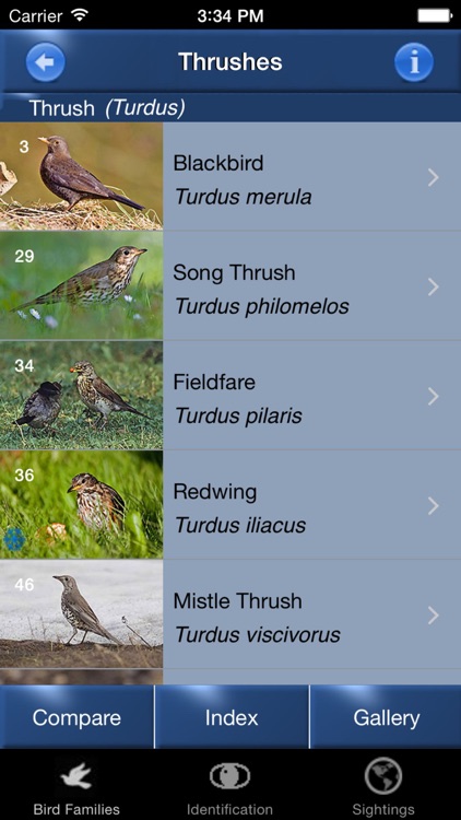 Bird Id - British Isles Identification Guide including all RSPB BGB bird watching survey birds screenshot-4