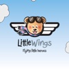 Little Wings