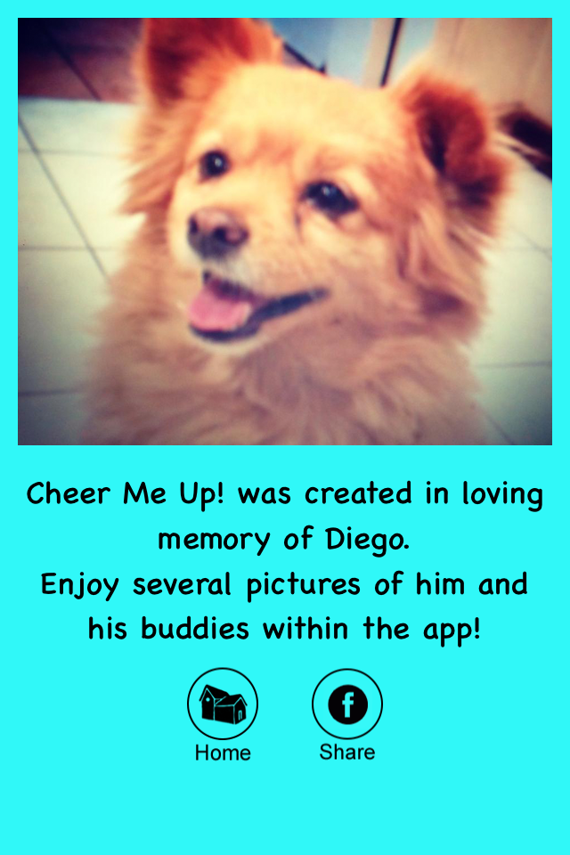 Cheer Me Up - Fun facts jokes and pictures to improve your day