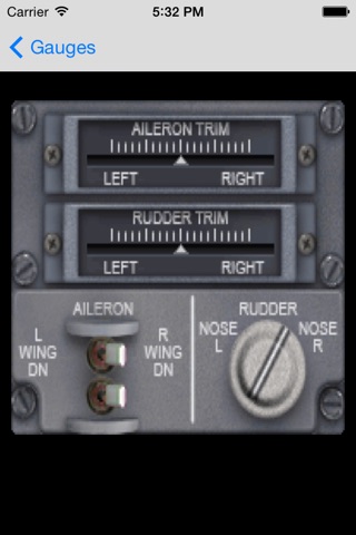 B737 Interactive Cockpit for FSX screenshot 3