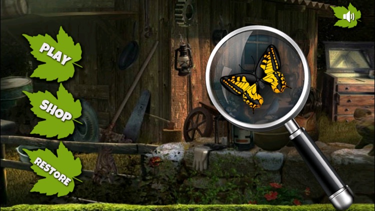 Amazone Forest Hidden Objects