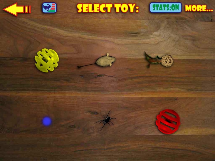 Virtual Cat Toys HD