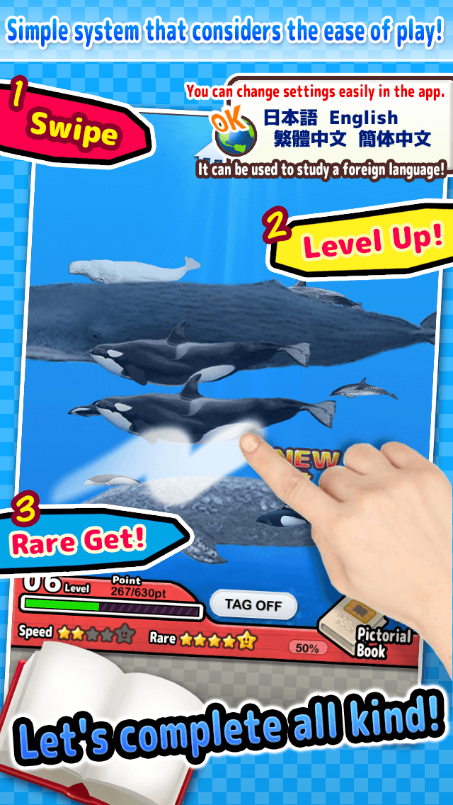 Whales and Dolphins of the World -Simple Pictorial Book Kids Game -