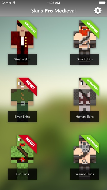 Skins Pro Medieval for Minecraft